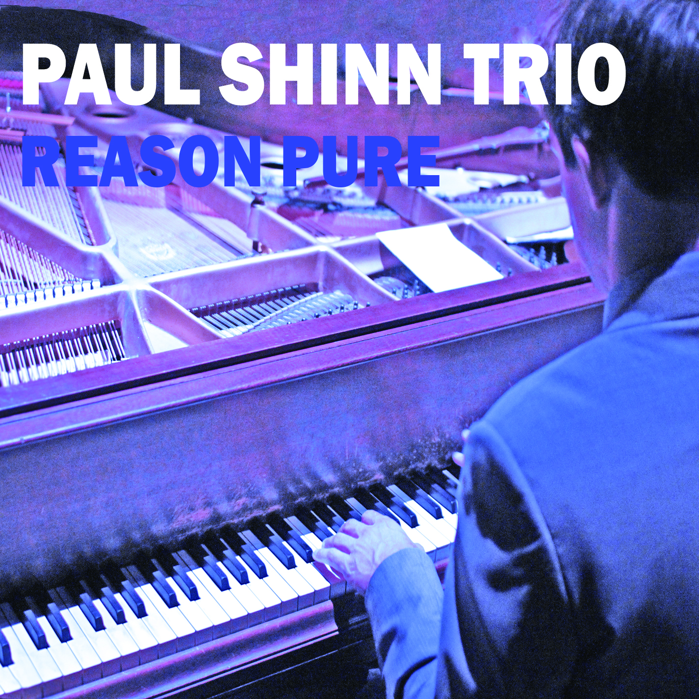 Paul Shinn Trio Reason Pure